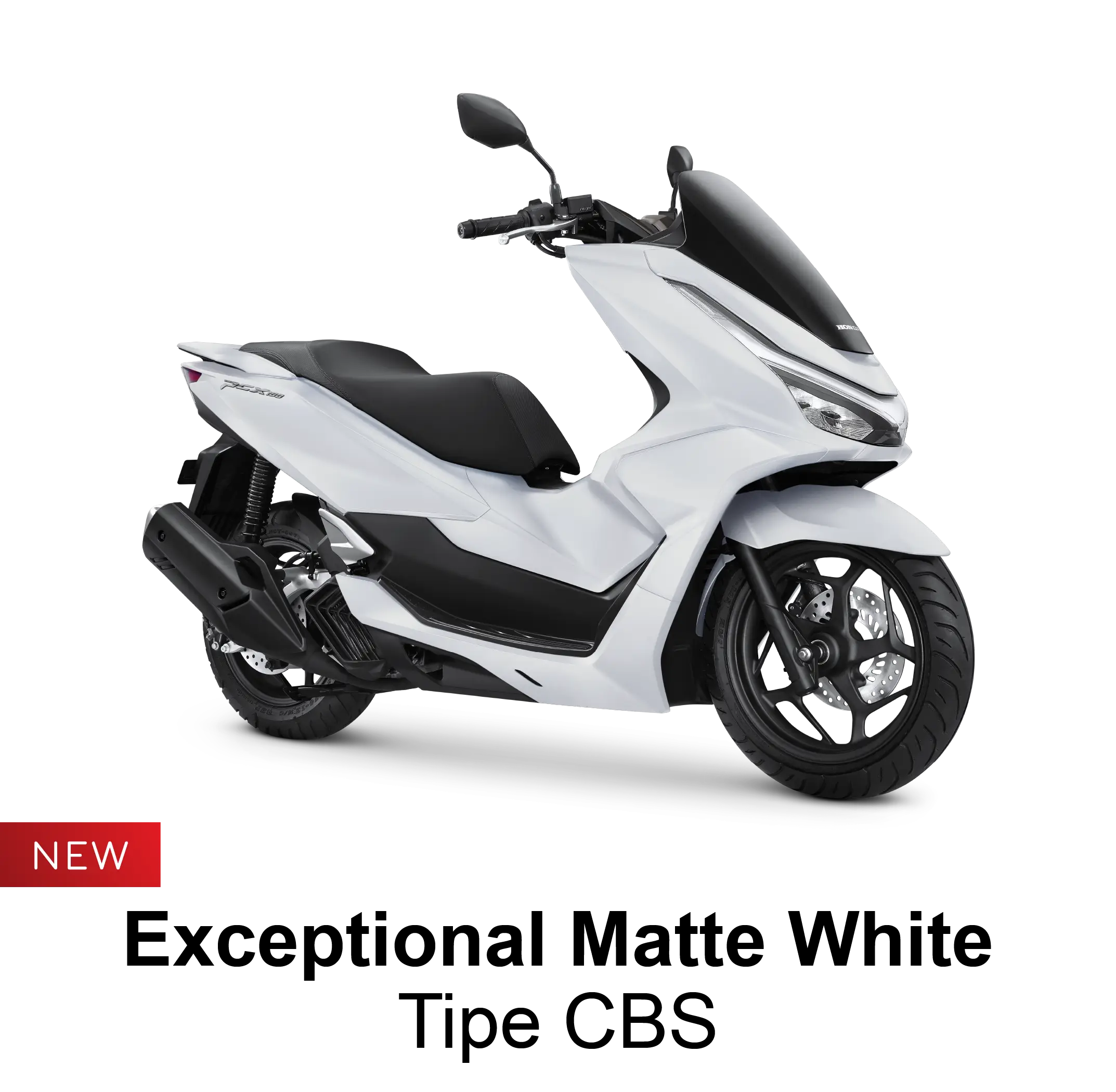 EXCEPTIONAL MATTE WHITE